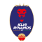 德里迪纳摩 logo