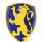 马那瓜FC  logo