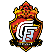 庆南FC  logo