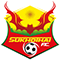 素可泰 logo