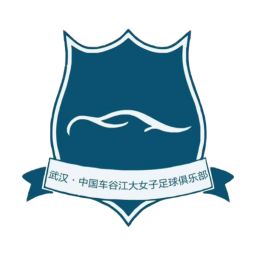 武汉车谷江大女足  logo